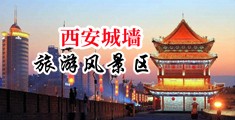 aaaaa羞羞动漫wwwww中国陕西-西安城墙旅游风景区